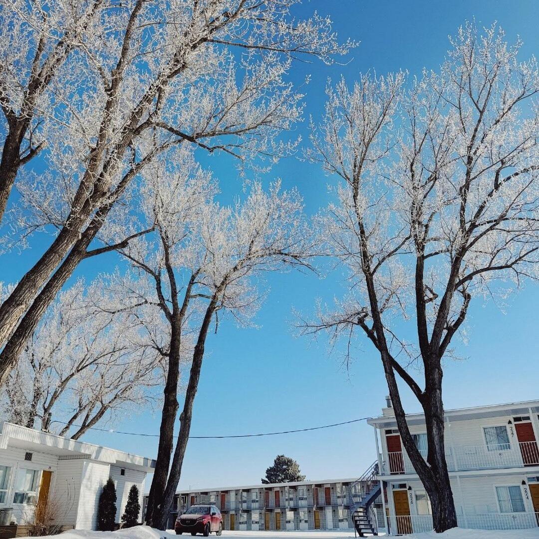 Auberge Le Parasol Saguenay Zewnętrze zdjęcie